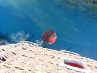  El reflejo de la felicidad 